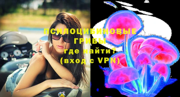 стафф Тобольск