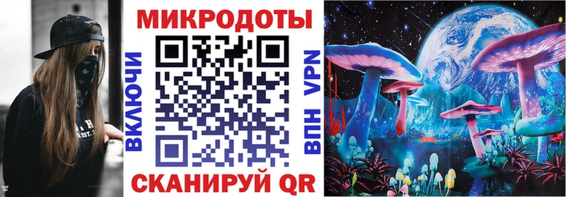 хочу   Кирс  Галлюциногенные грибы мицелий 